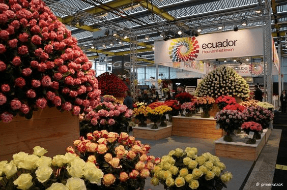International Floriculture expo, Few top expos in US
